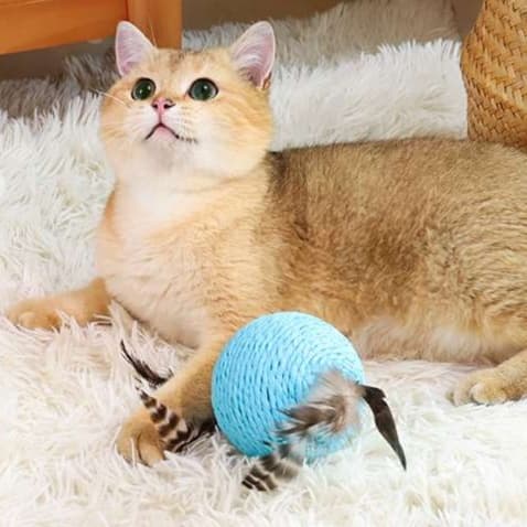 猫 おもちゃ ふわもこ羽根玉 猫じゃらし