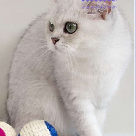 猫 おもちゃ 手編み羽根付き麻紐ボール猫じゃらし