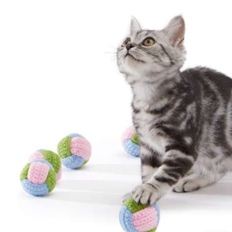 猫 おもちゃ 夏涼やか ニットボール猫じゃらし
