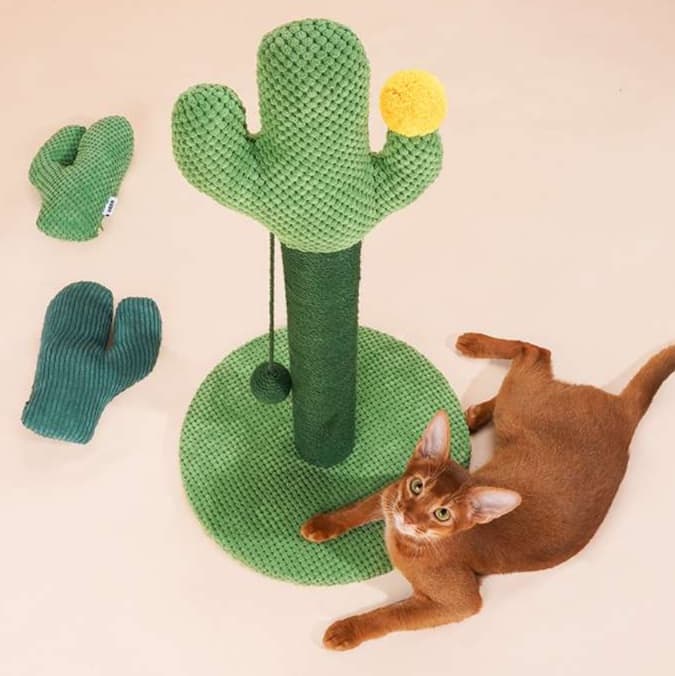 猫 おもちゃ サボテンハウス・キャットタワー