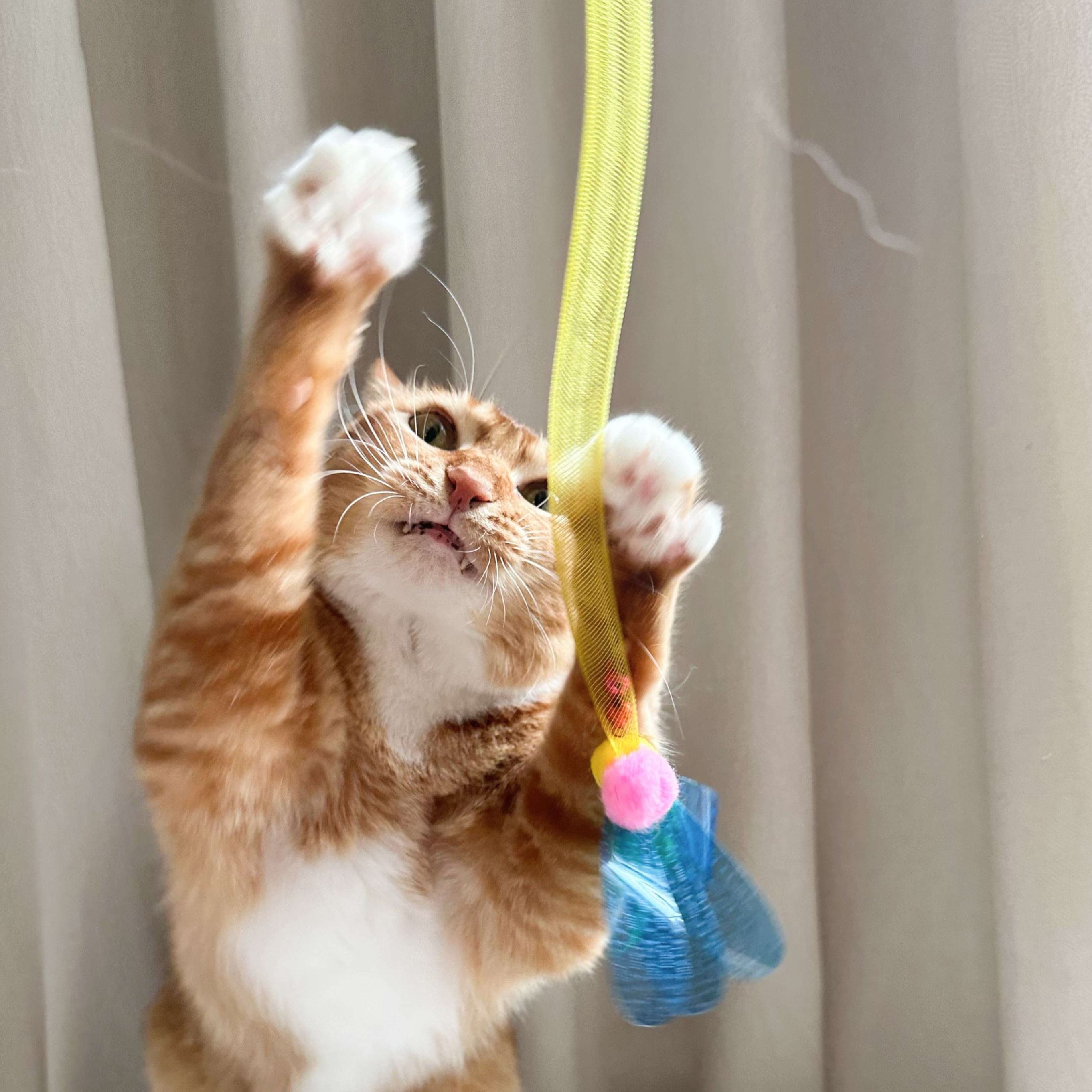 猫 おもちゃ ふわもこリボン付き伸縮じゃらし