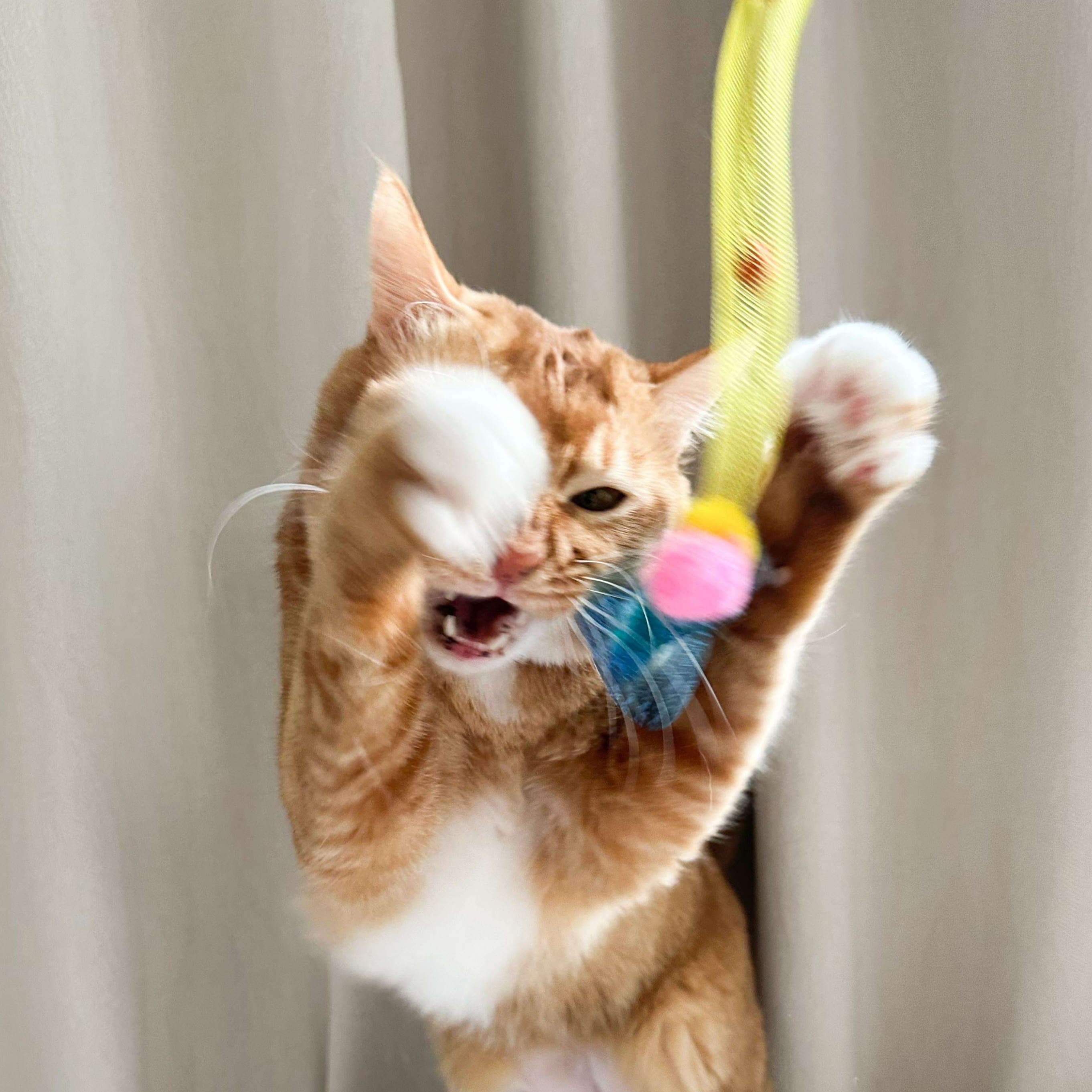 猫 おもちゃ ふわもこリボン付き伸縮じゃらし