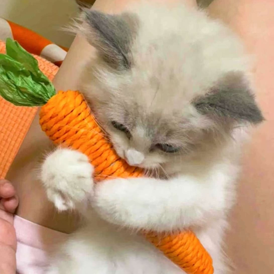 猫 おもちゃ にんじんの誘惑 猫じゃらし