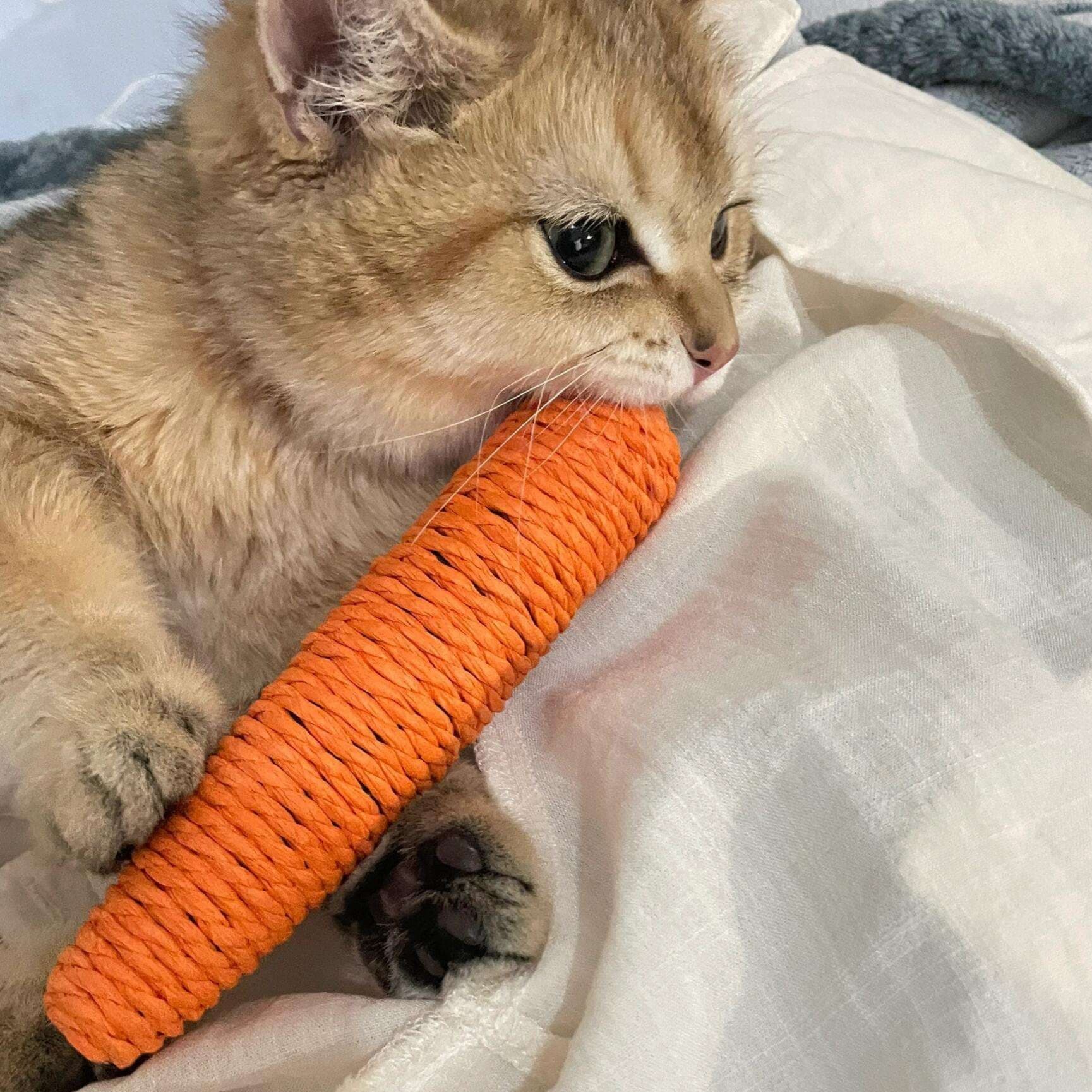 猫 おもちゃ にんじんの誘惑 猫じゃらし