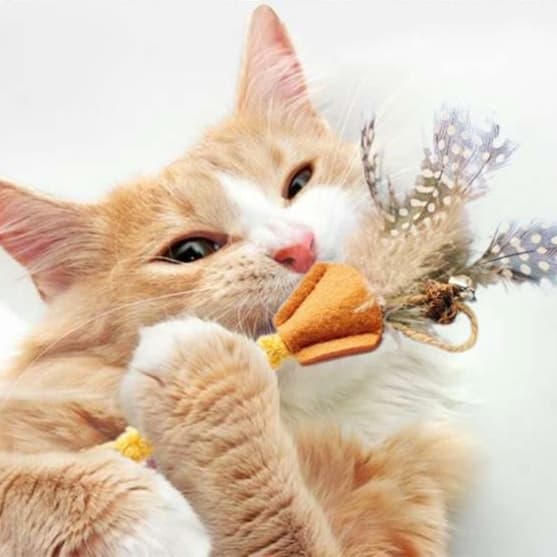 猫 おもちゃ もふもふ羽根付き歯磨き猫じゃらし