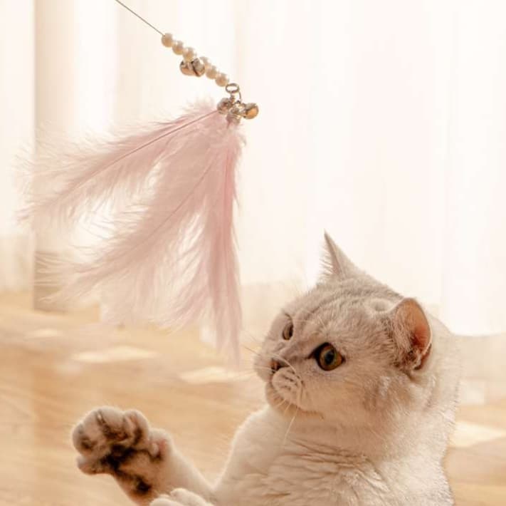 猫 おもちゃ 上品な羽とパールの猫じゃらし