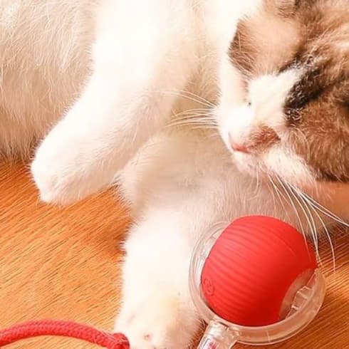 猫 おもちゃ 自動回転式ボール型猫じゃらし