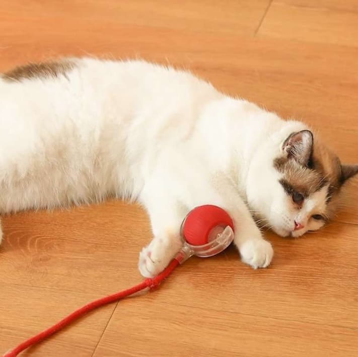 猫 おもちゃ 自動回転式ボール型猫じゃらし