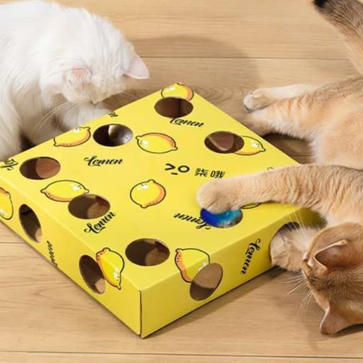 猫 おもちゃ もぐもぐボックス猫じゃらし遊び