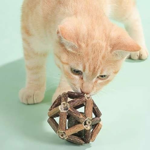 猫 おもちゃ 天然木の歯磨きボール型 猫じゃらし
