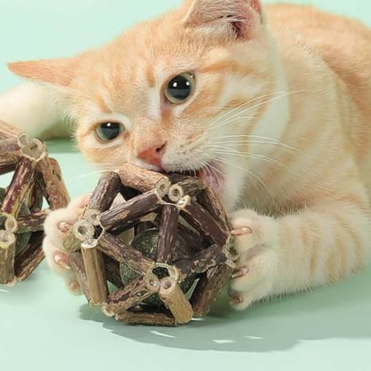 猫 おもちゃ 天然木の歯磨きボール型 猫じゃらし