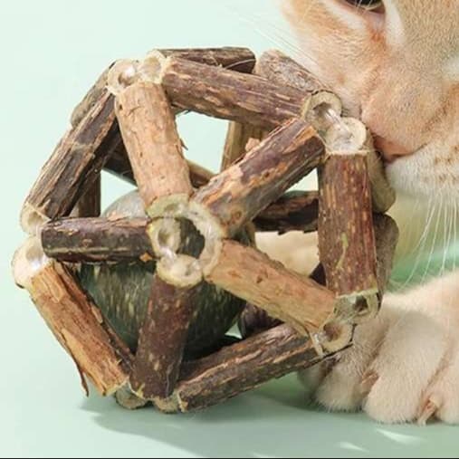 猫 おもちゃ 天然木の歯磨きボール型 猫じゃらし
