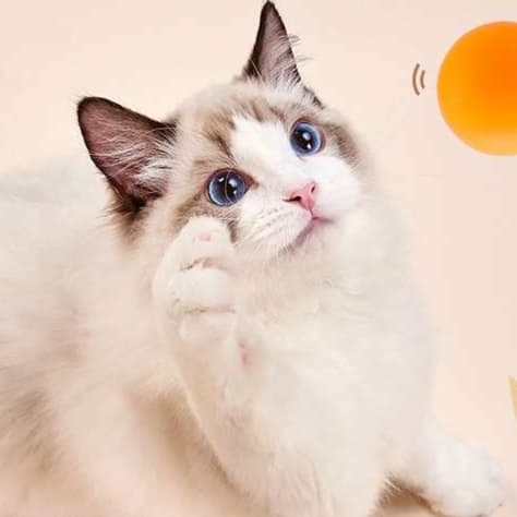 猫 おもちゃ 自動回転スイング猫じゃらし