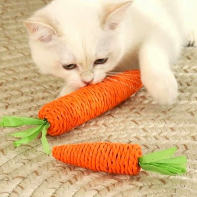 猫 おもちゃ にんじん型歯みがき猫じゃらし