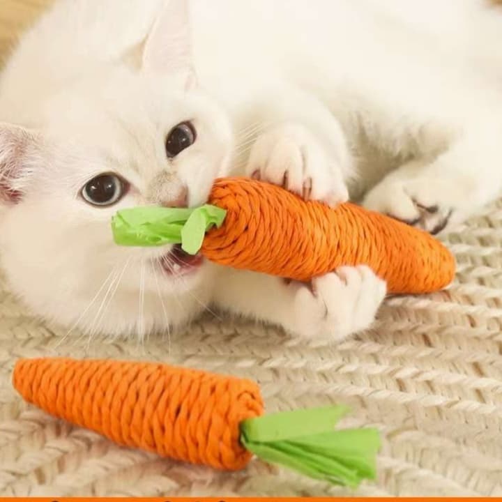 猫 おもちゃ にんじん型歯みがき猫じゃらし