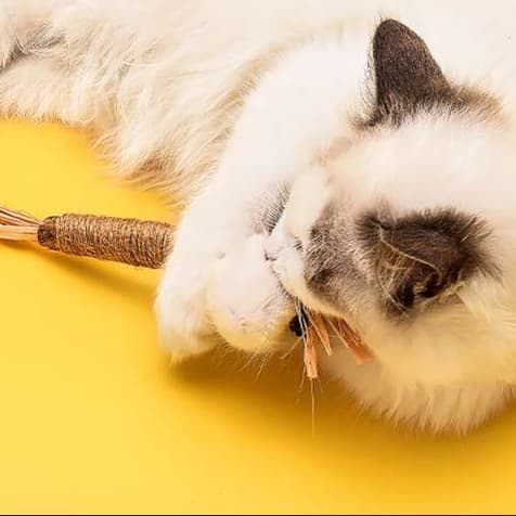 猫 おもちゃ 天然麻縄 歯磨きじゃらし