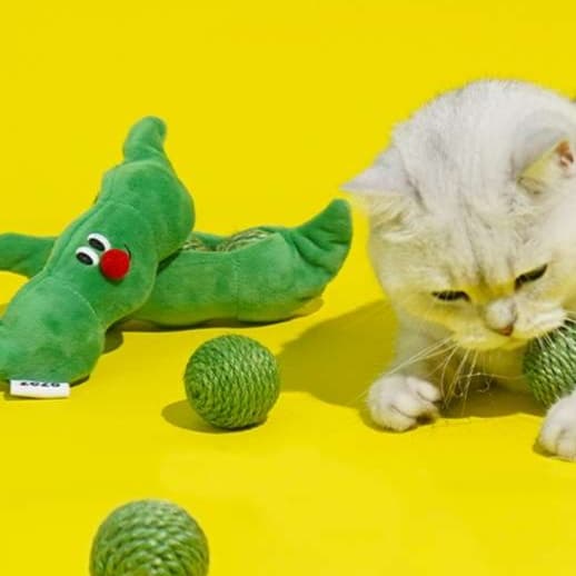 猫 おもちゃ 毛糸玉とまめちゃん猫じゃらし