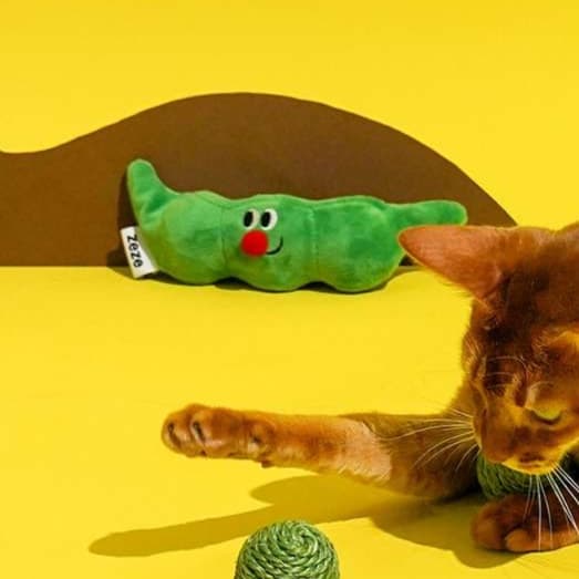 猫 おもちゃ 毛糸玉とまめちゃん猫じゃらし