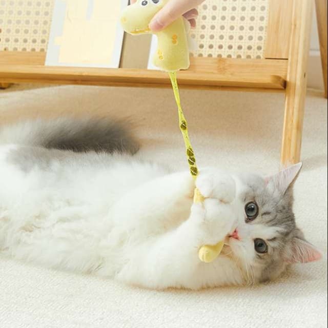 猫 おもちゃ まんまる猫じゃらし 虫嚢果入り