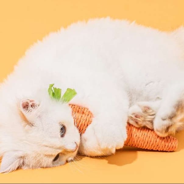 猫 おもちゃ にんじんさんのらくらく猫じゃらし