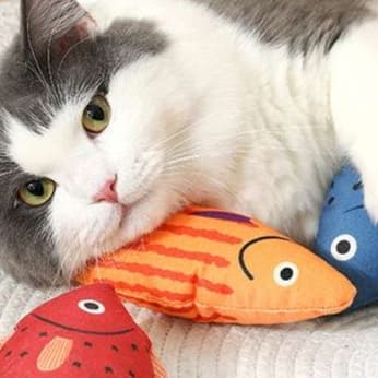 猫 おもちゃ 歯磨き用 魚型猫じゃらし
