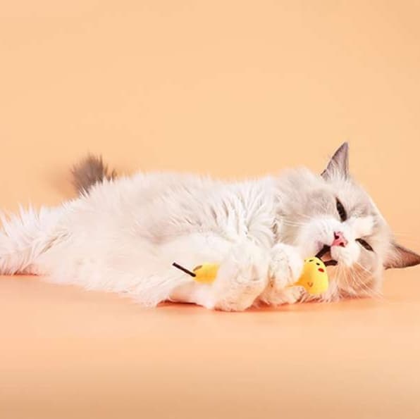 猫 おもちゃ もふもふ小動物の歯磨きじゃらし
