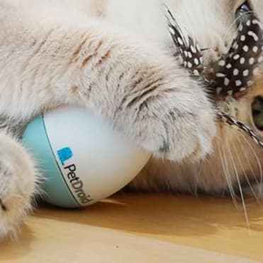 猫 おもちゃ くるりん羽根ボール