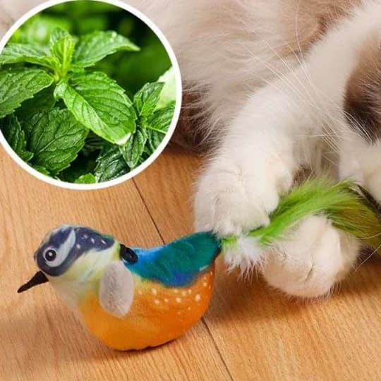 猫 おもちゃ 鳴き声付き小鳥の猫じゃらし