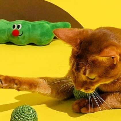 猫 おもちゃ もちもちまめ猫じゃらしセット