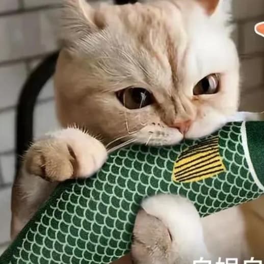 猫 おもちゃ にゃんこ大好き 魚型薄荷おもちゃ