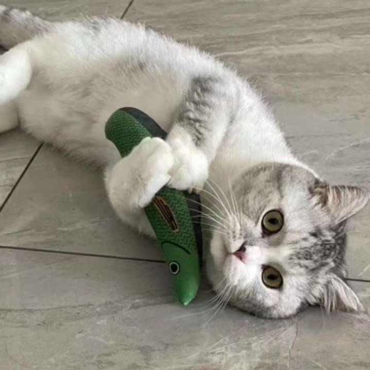猫 おもちゃ にゃんこ大好き 魚型薄荷おもちゃ