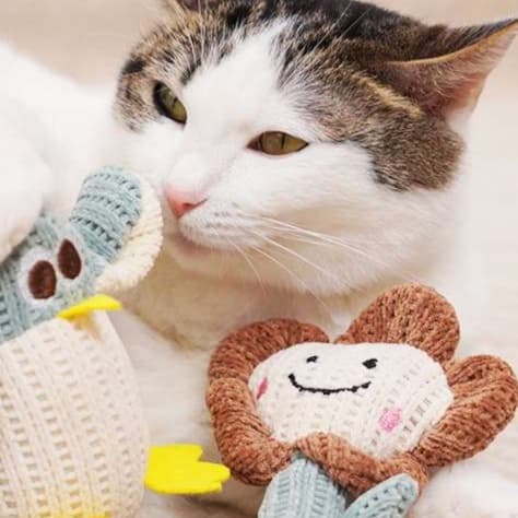 猫 おもちゃ やわらか編みぐるみ 猫じゃらし