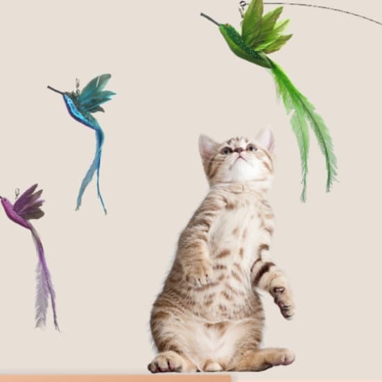猫 おもちゃ 鳥の羽根付き ゆらゆら猫じゃらし