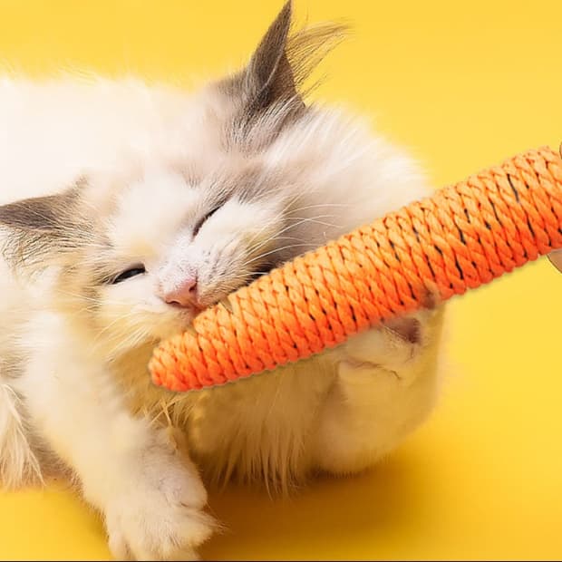 猫 おもちゃ にんじんシリーズ 猫じゃらし 歯磨きおもちゃ