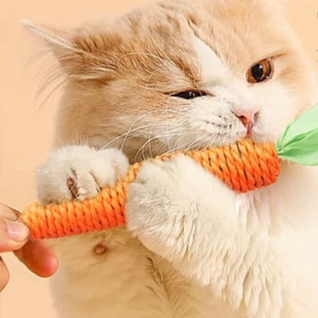 猫 おもちゃ にんじんシリーズ 猫じゃらし 歯磨きおもちゃ