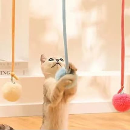 猫 おもちゃ 吊り下げ式 ボール付き伸縮猫じゃらし