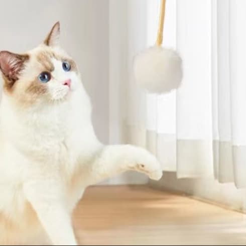 猫 おもちゃ 吊り下げ式 ボール付き伸縮猫じゃらし