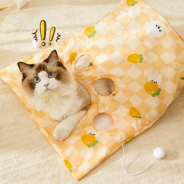 猫 おもちゃ 穴あき袋で遊ぼう！もぐりん猫じゃらし