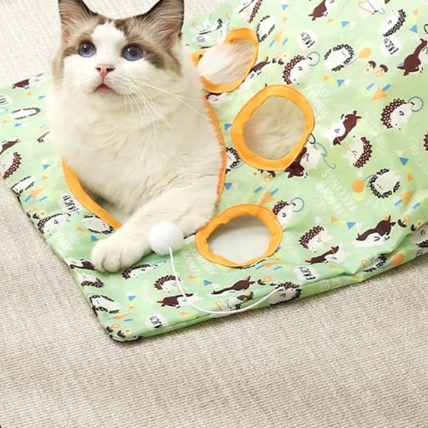 猫 おもちゃ 猫ちゃんの穴あきトンネル袋