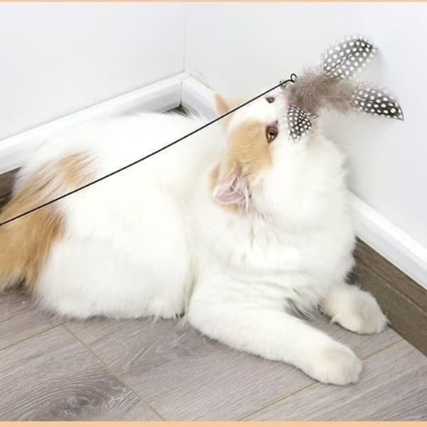 猫 おもちゃ 天然羽根の優雅な猫じゃらし