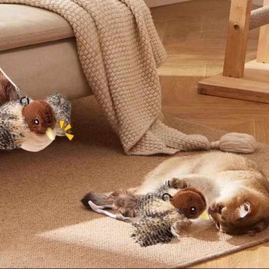猫 おもちゃ リアル鳥型猫じゃらし