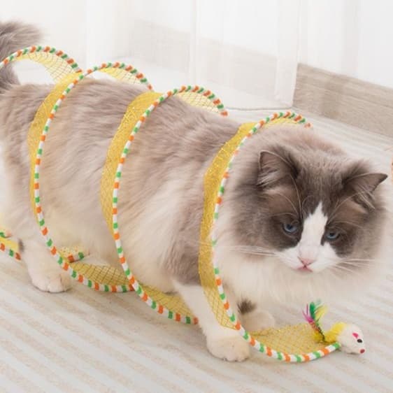 猫 おもちゃ 折りたたみ式トンネル型おもちゃ