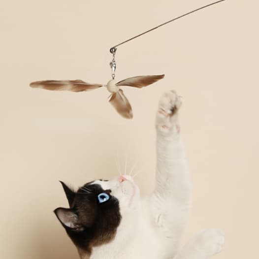 猫 おもちゃ 天然羽根の舞い猫じゃらし棒