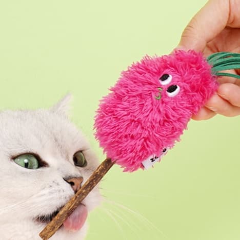 猫 おもちゃ むにゃむにゃ歯磨きじゃらし