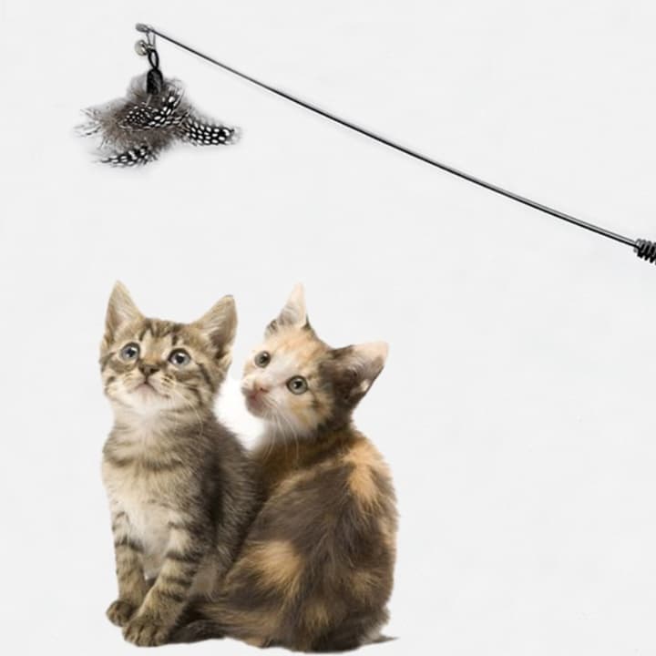 猫 おもちゃ 天然羽根の贅沢じゃらし