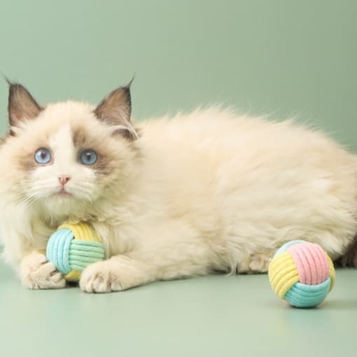 猫 おもちゃ もふもふ紐巻き玉 猫じゃらし
