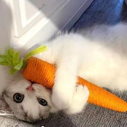猫 おもちゃ にんじんスティック・歯みがきじゃらし