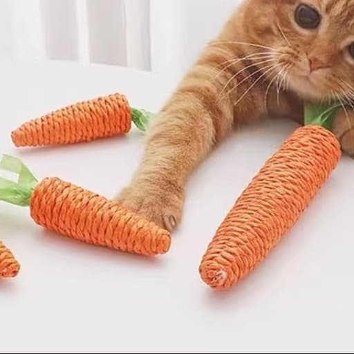 猫 おもちゃ にんじんスティック・歯みがきじゃらし