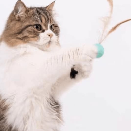 猫 おもちゃ ふわふわ弾むじゃらし玉