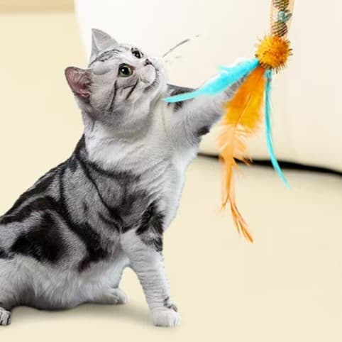 猫 おもちゃ 音符とスパンコール付き伸縮猫じゃらし